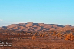 Maranjab-desert-dasht-e-kavir-cycling-tour-Iran-1119-34