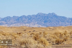 Maranjab-desert-dasht-e-kavir-cycling-tour-Iran-1119-38