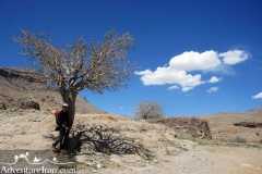 Meymand-kerman-hiking-Iran-1127-19