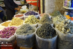 Urmia-west-Azerbaijan-Iran-1136-10