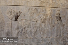 Persepolis-Shiraz-unesco-Iran-1141-05
