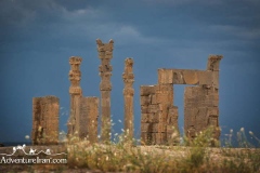 Persepolis-Shiraz-unesco-Iran-1141-06