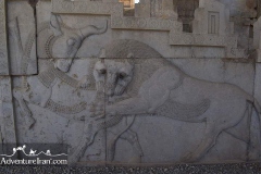 Persepolis-Shiraz-unesco-Iran-1141-14