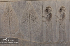 Persepolis-Shiraz-unesco-Iran-1141-21