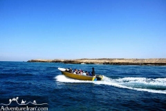 Qeshm-island-Persian-Gulf-Iran-1147-24