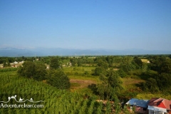 Rice-fields-Caspian-sea-Iran-1150-03