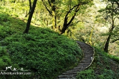 Rudkhan-castle-Gilan-Iran-1152-06