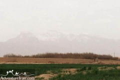 Saryazd-mehriz-Yazd-Iran-1161-08