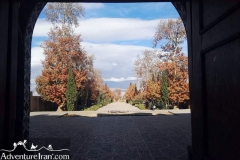 Shazdeh-garden-UNESCO-Kerman-Iran-1165-09