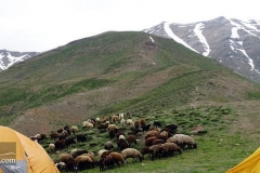 Shemshak-mountain-biking-tour-Iran-1168-03