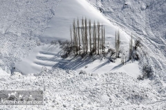 Shemshak-Winter-Iran-1171-27