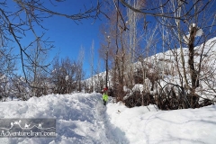 Shemshak-Winter-Iran-1171-30