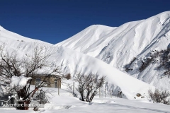 Shemshak-Winter-Iran-1171-31