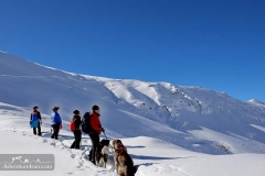 Shemshak-Winter-Trekking-Tour-19
