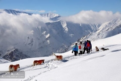 Shemshak-Winter-Trekking-Tour-24