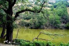 Shoorrmast-lake-Mazandaran-Iran-1175-03