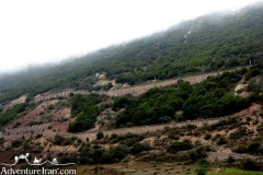 Shoorrmast-lake-Mazandaran-Iran-1175-06