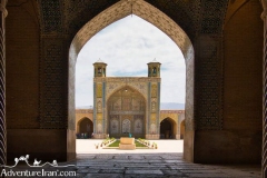Vakil-mosque-shiraz-Iran-1193-07