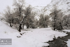 Vrjin-mountain-winter-Iran-1212-05