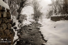 Vrjin-mountain-winter-Iran-1212-06