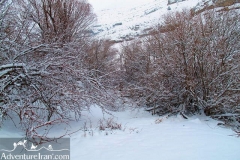 Vrjin-mountain-winter-Iran-1212-29