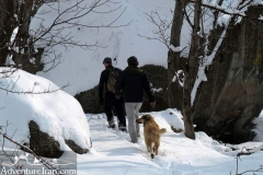 Vrjin-mountain-winter-Iran-1212-30