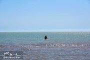 swimming Persian gulf Iran travel