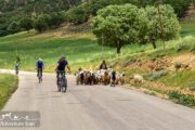 Iran Cycling Travel