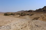 Aroosan oasis - Dasht-e kavir Desert