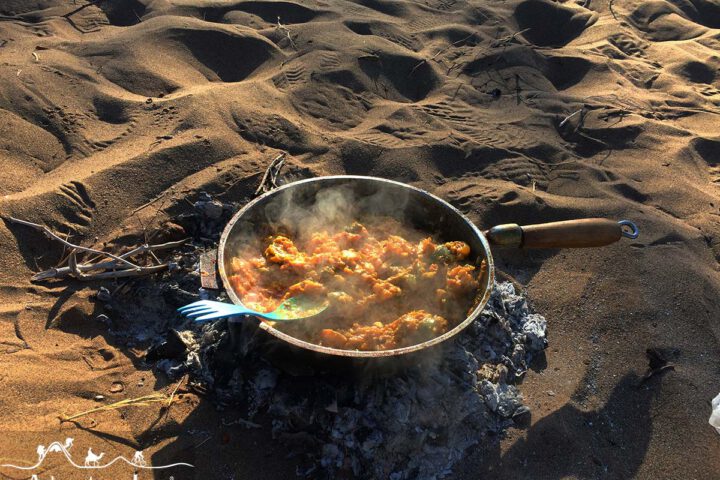 Cooking Experience in Dasht-e-Kavir Desert Safari in Iran