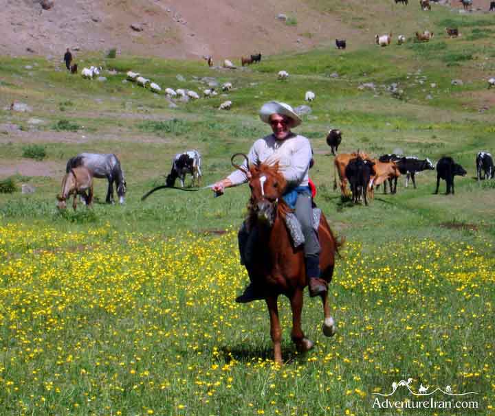 Talesh horse Riding iran