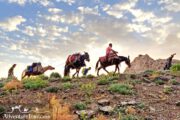 Hikers riding mules- Iran Off the Beaten Track Hiking