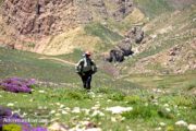 Iran Hiking Expedition