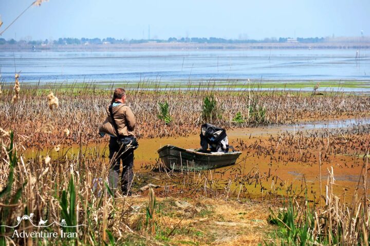 Anzali Lagoon - Gilan Caspian Sea