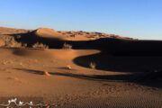 Iran Landscape photograhy tour - Kavir Lut Desert