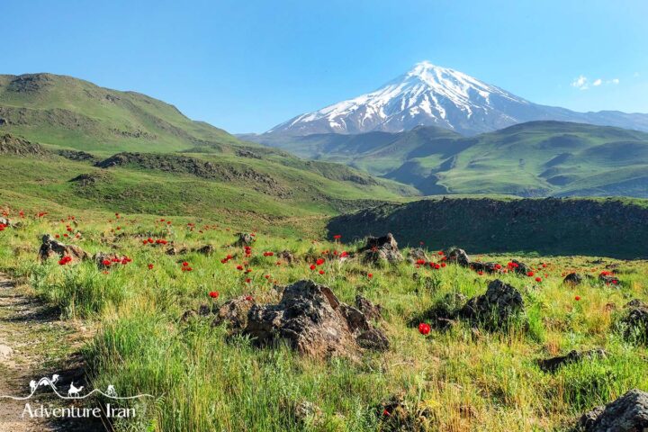 Iran Hiking Tour - MT. Damavand Lar National park Landscape
