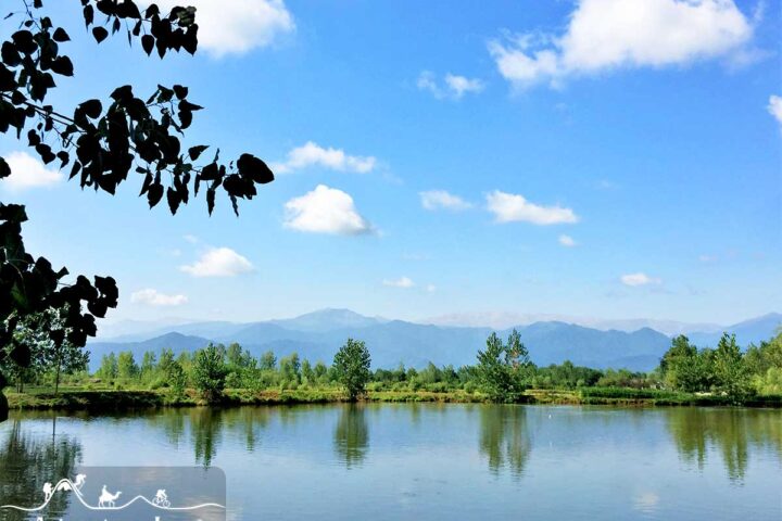 Anzali Lagoon Iran off the beaten traveling path tour