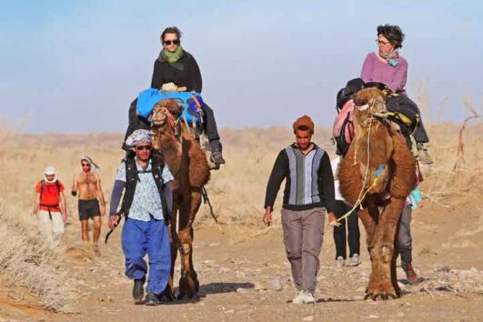Camel Desert Treking in Iran Dasht-e Kavir