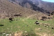 Tehran Mountain Tour