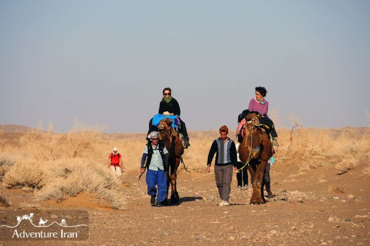 Camel Trekking in Iran Desert