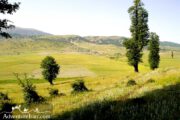 Vast Green Plain- Iran Turkmen Region Tour