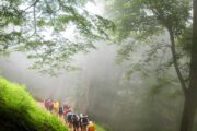 Hyrcanian Forests Hiking Trails- Iran UNESCO Site
