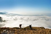 Cloud Forest- Shahrud- Iran Trekking Tour