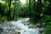 Roaring River Twisting Golestan Forests- Adventure Iran Tour