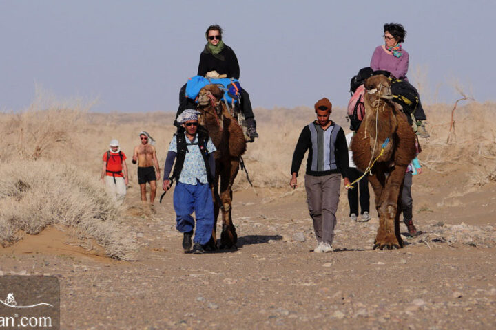 Camel Trekking in Dasht-e Kavir Desert Iran