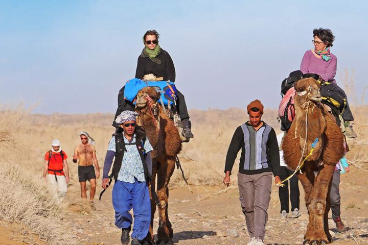 Iran Camel Trekking