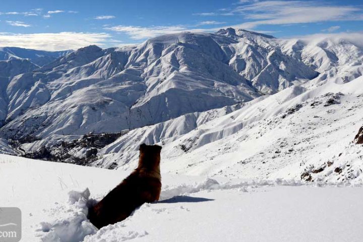 Winter holiday Iran