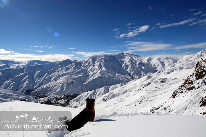 Iran winter travel experince