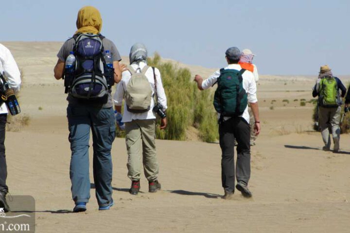 Trekking Desert Tour Iran