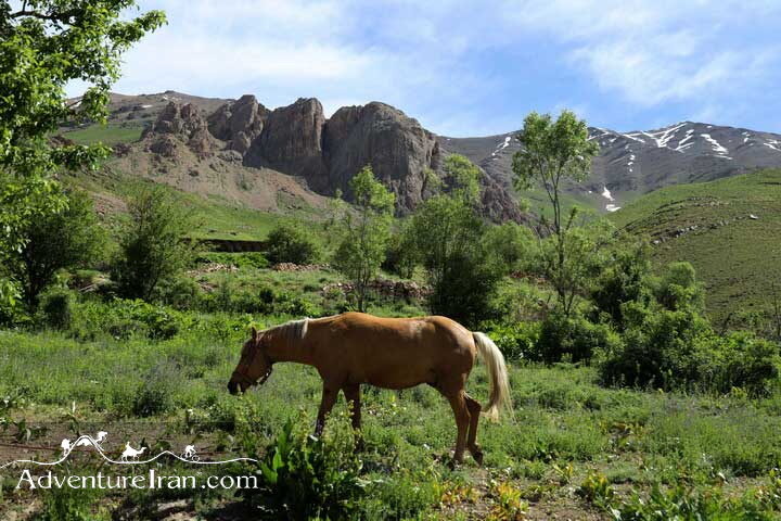 Summer view of Shemshak village Central Alborz Mountains Iran